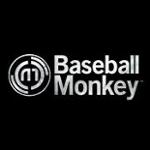 Baseball Monkey