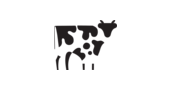 Copper Cow Coffee