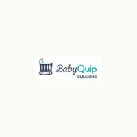 Baby Quip Cleaning