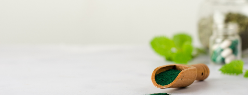 Amazing Grass Review 2024: Are Their Green Powders Worth It?