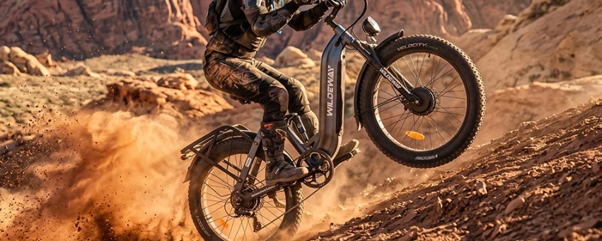 Wild Bike