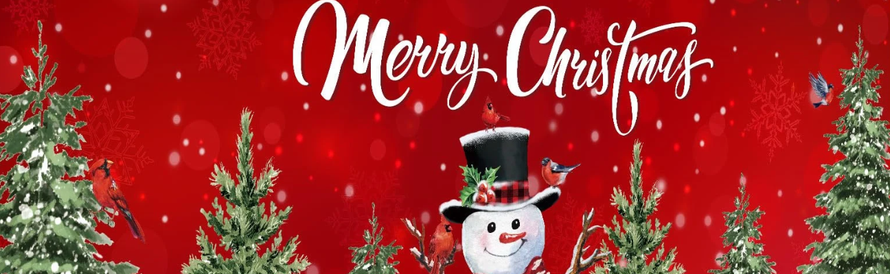 christmas garage door cover