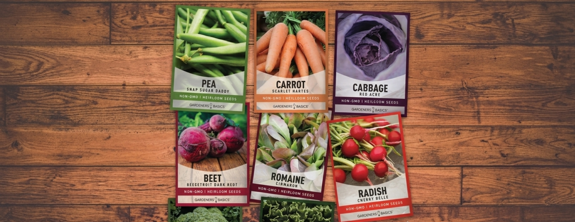 10 Best Cool Season Vegetable Seeds to Plant This Fall