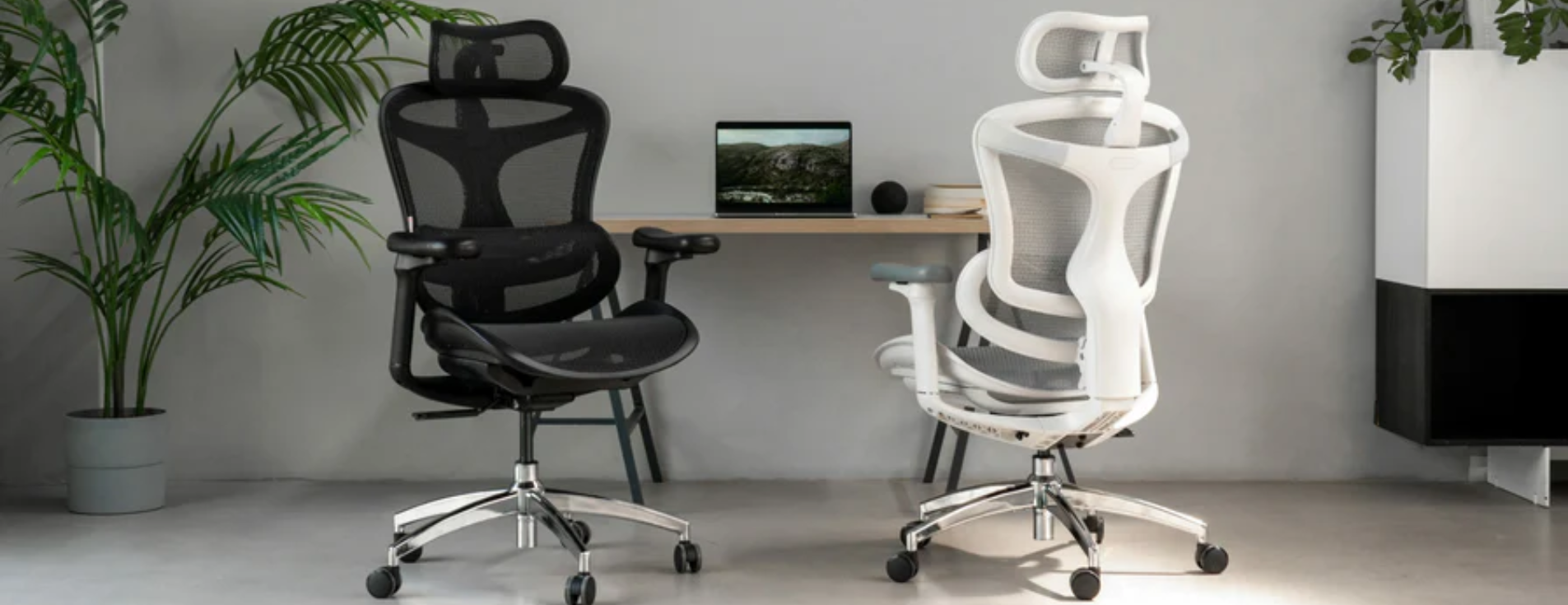 Sihoo Ergonomic Chairs
